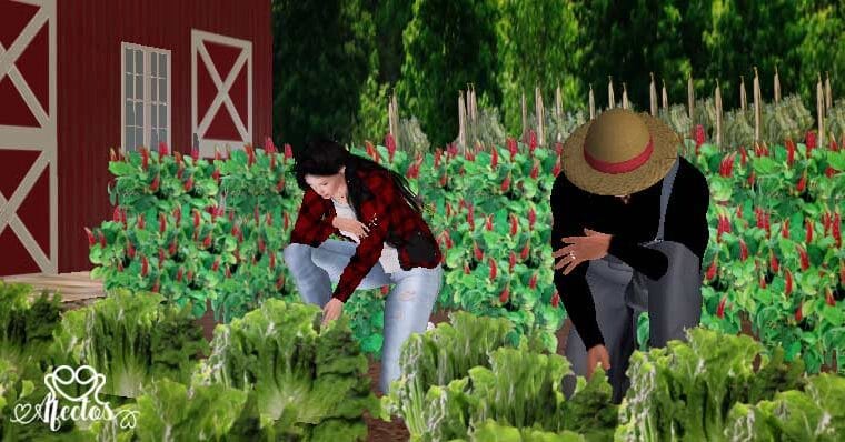 La misión de las manos de Mamerto Menapace