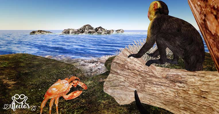 La pelea del mono y el cangrejo