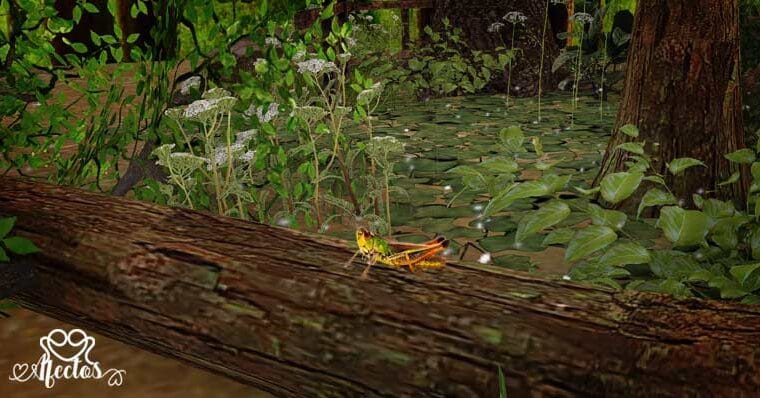 Los grillos y el vendaval de Mamerto Menapace