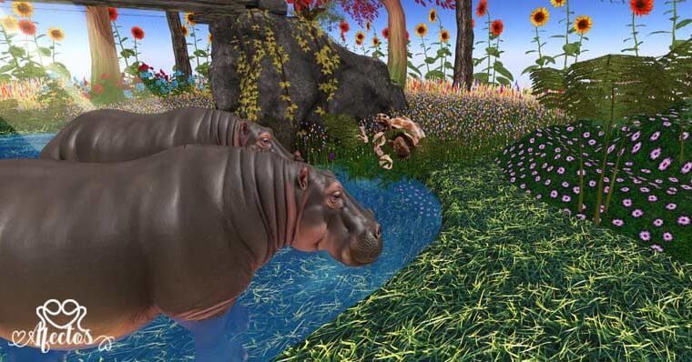 El hipopótamo y la tortuga: una fábula reflexiva sobre el miedo y el poder