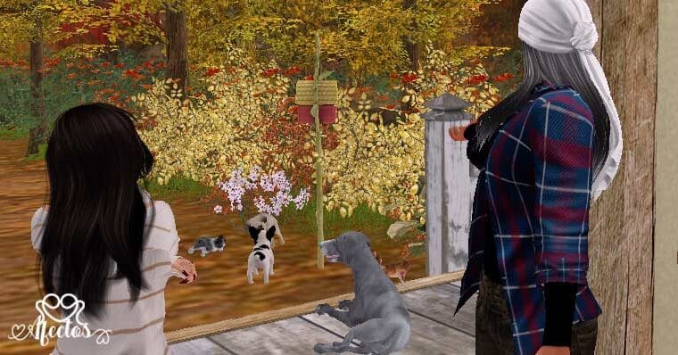 El lugar seguro de Benicio de Seeonee