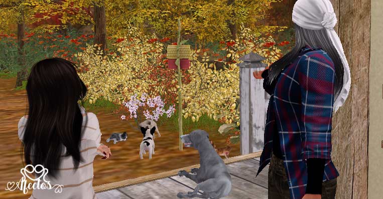 El lugar seguro de Benicio de Seeonee