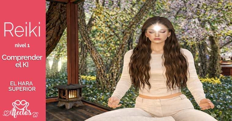 Hara Superior: Ordenar la Energía y Reducir la Tensión Mental