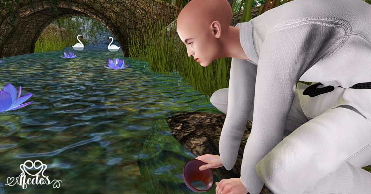 El agua del cuenco, de Benicio de Seeonee