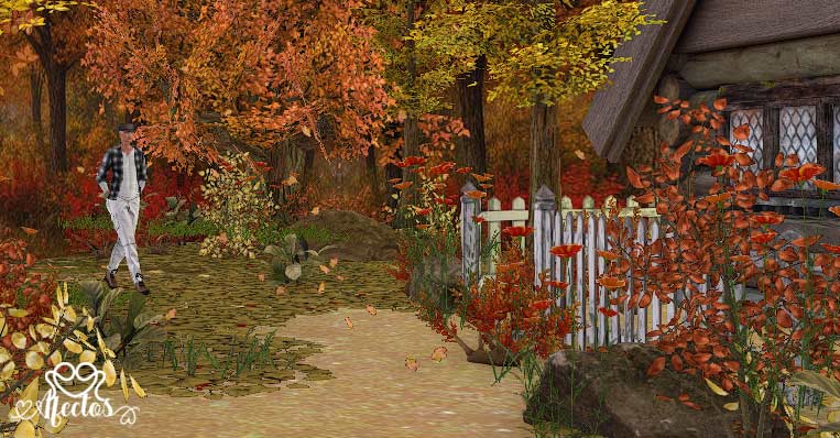 El lugar equivocado, de Benicio de Seeonee