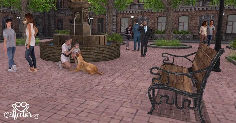 El banco vacío y la mirada atenta