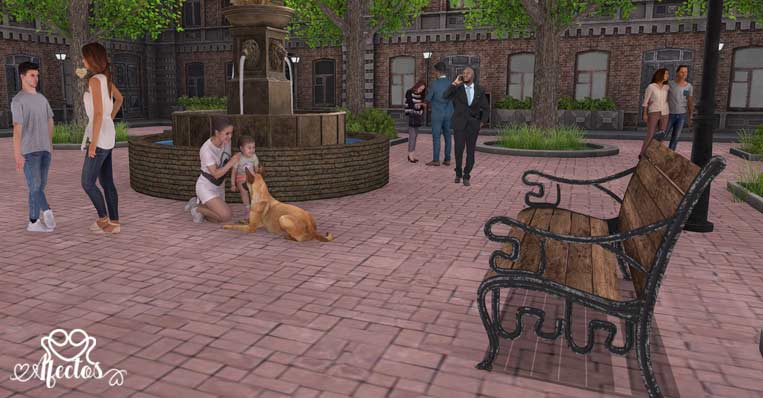 El banco vacío y la mirada atenta