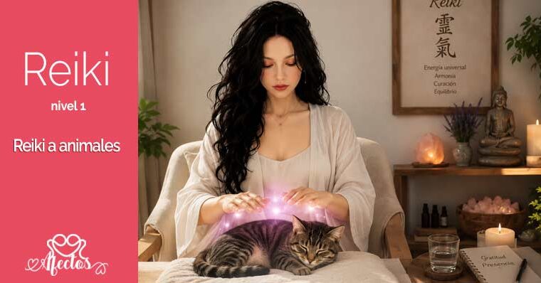 Reiki a Animales – El Lenguaje del Instinto